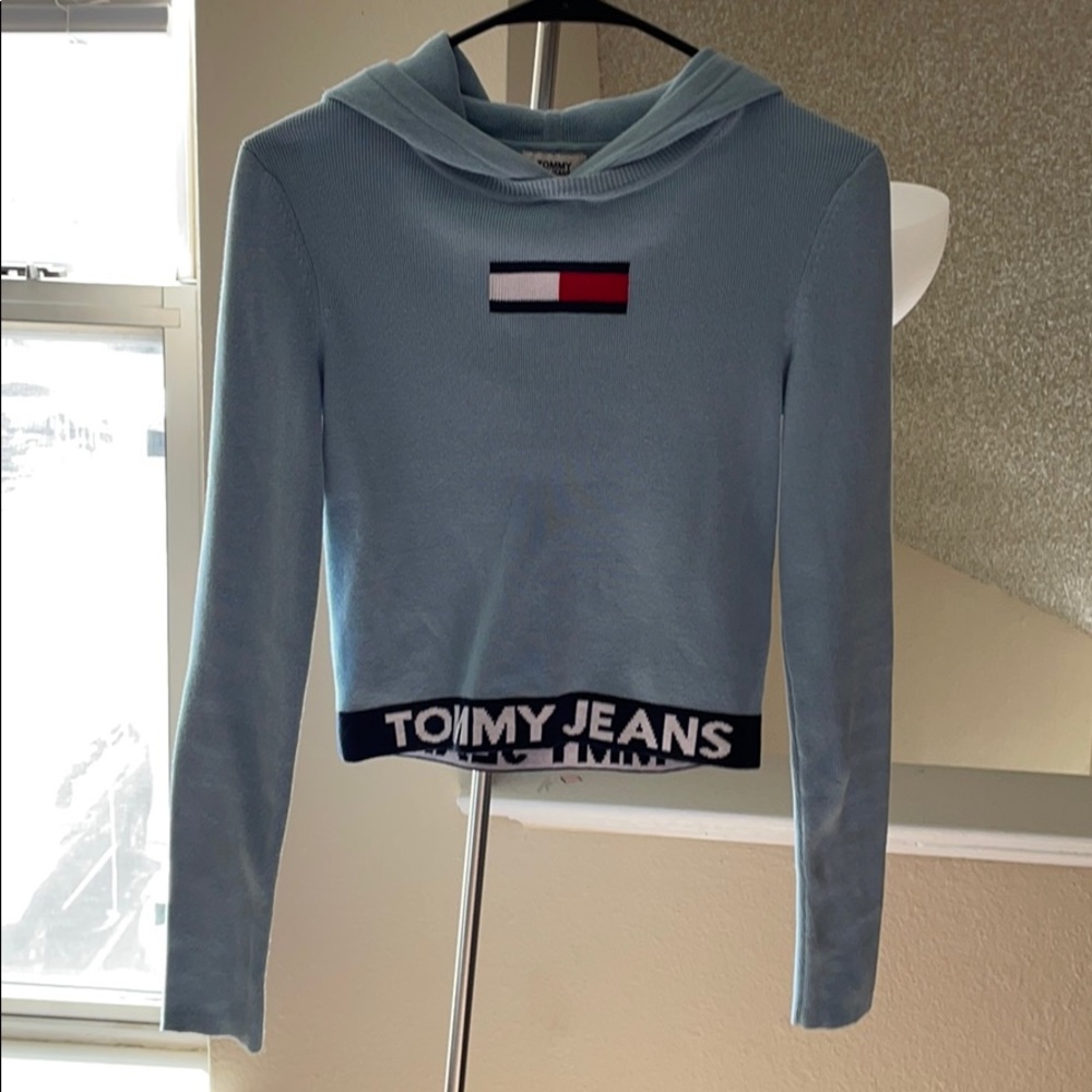 Tommy Hilfiger Cropped Logo Hoodie Sweater